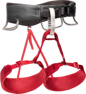 Black Diamond Women&#x27;s Momentum Harness  Wild Rose | Buy Black Diamond Women&#x27;s Momentum Harness  Wild Rose here | Outnorth