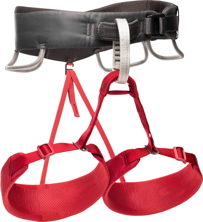 Black Diamond Women&#x27;s Momentum Harness  Wild Rose | Buy Black Diamond Women&#x27;s Momentum Harness  Wild Rose here | Outnorth