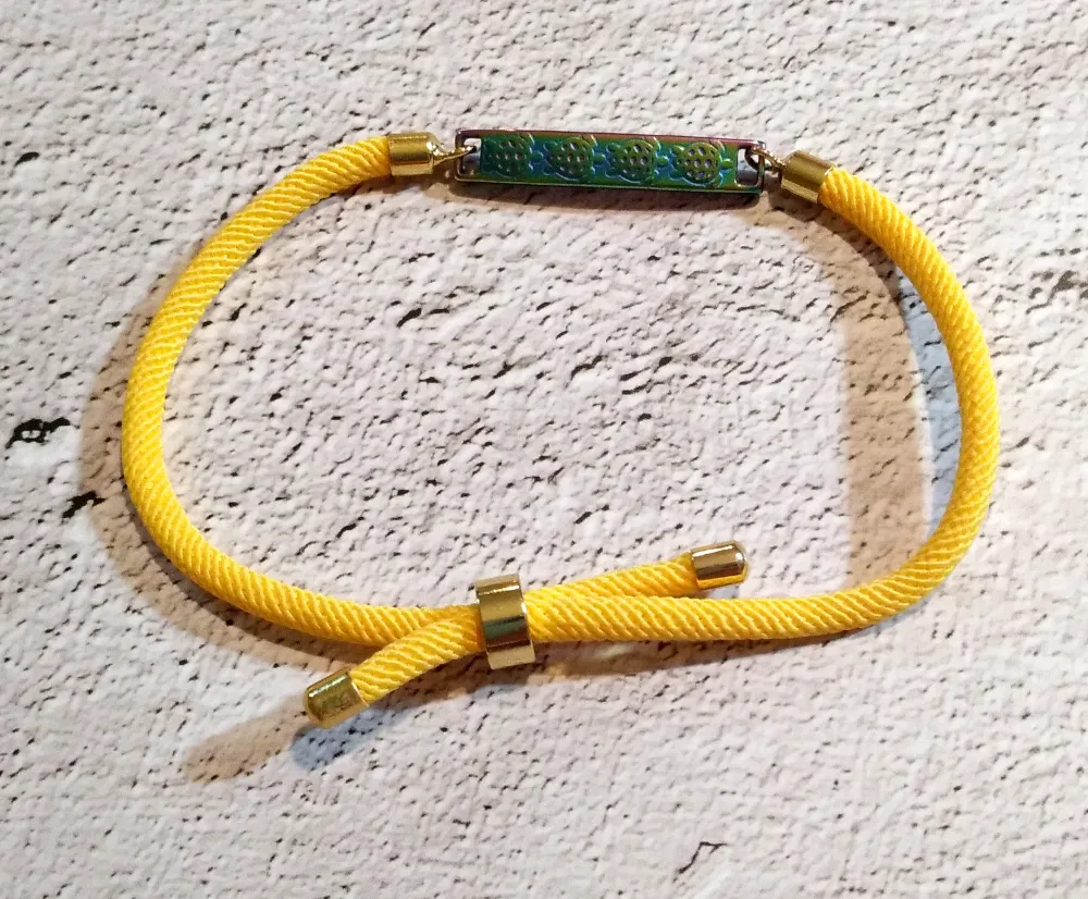 Dani Iridescent Turtles Corded Slider Bracelet