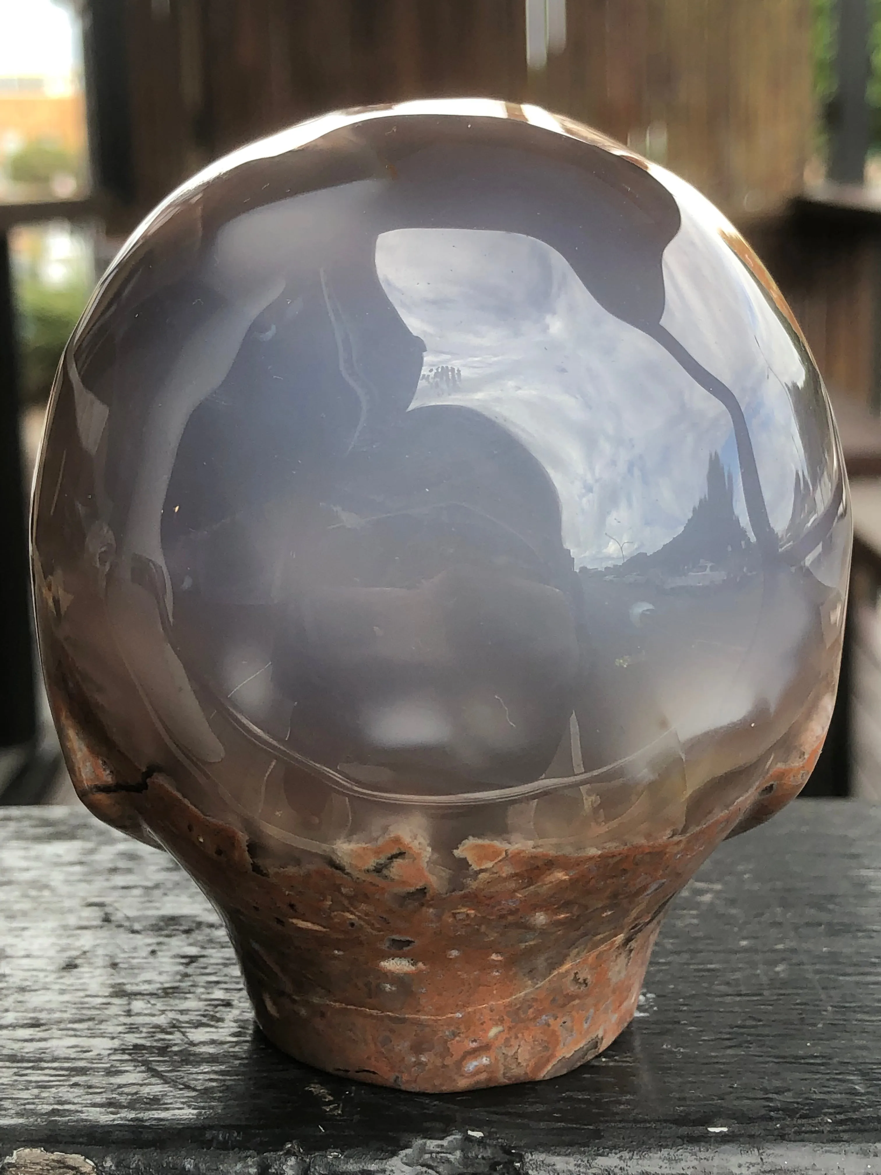 Dinosaur Egg Agate Alien with Lapis Lazuli [1k1600]