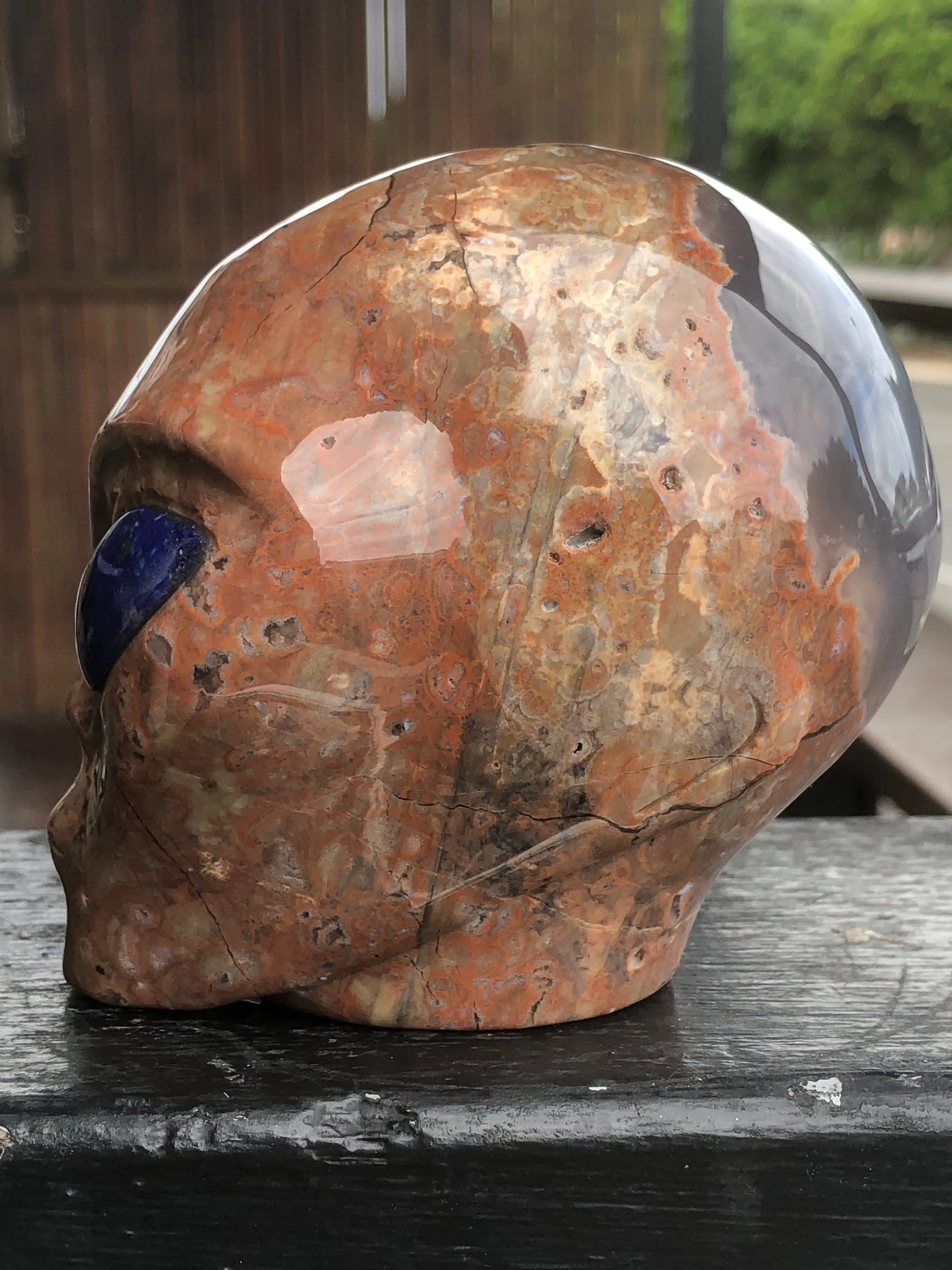 Dinosaur Egg Agate Alien with Lapis Lazuli [1k1600]