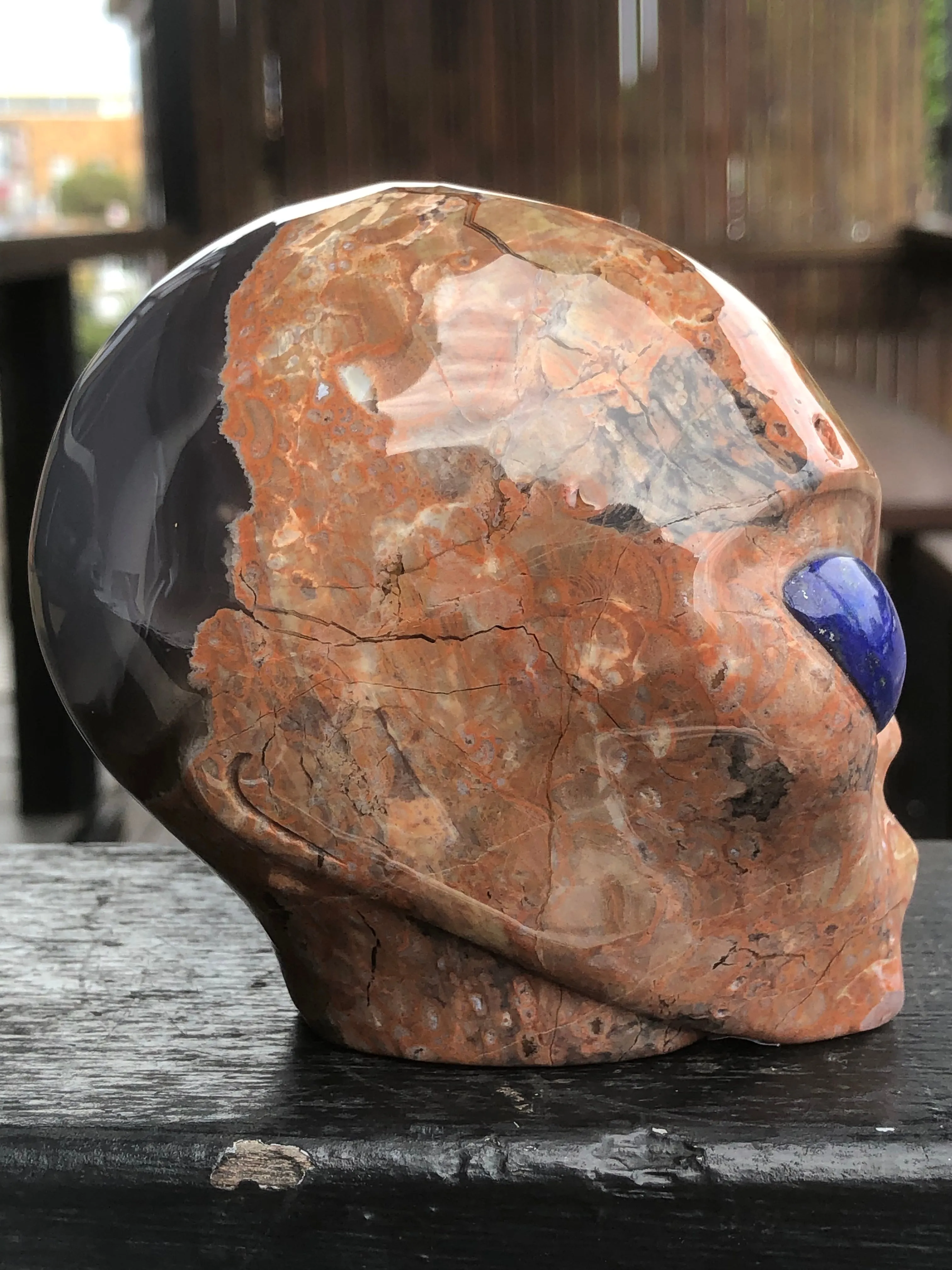 Dinosaur Egg Agate Alien with Lapis Lazuli [1k1600]