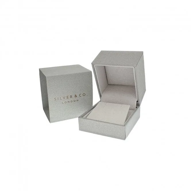 Silver & Co Claw Set Halo Cut CZ Stud Earrings SEG0027CZ